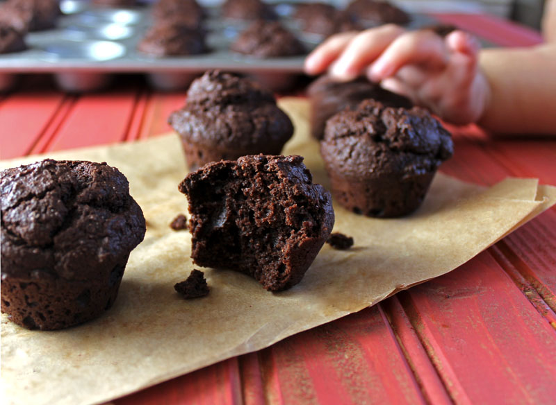 Kid approved Chocolate Muffins are healthy enough for breakfast but tasty enough for dessert! Also, they freeze great for a fast, make ahead breakfast!