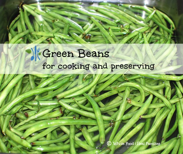 Green Beans for cooking and preserving