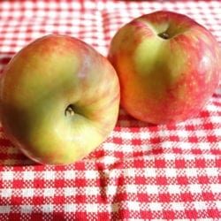 Applesauce, preserving and canning