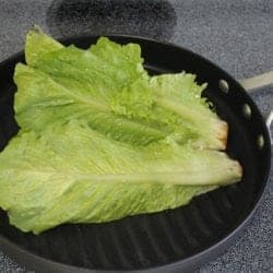 Grilled Romaine