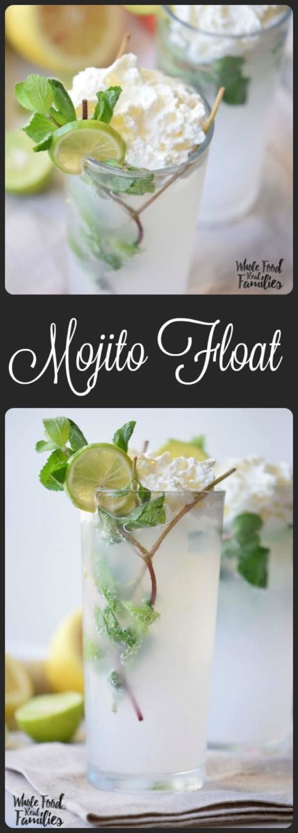 Make it a Mocktail or a Cocktail, but make this Mojito Float and then go find the nearest shade and cool yourself off! @wholefoodrealfa 