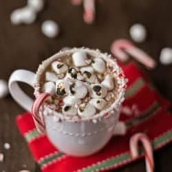 Decadent Peppermint Hot Chocolate with Toasted Marshmallows