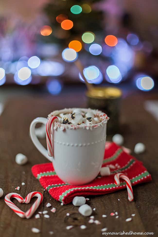 Peppermint Hot Chocolate with Toasted Marshmallows