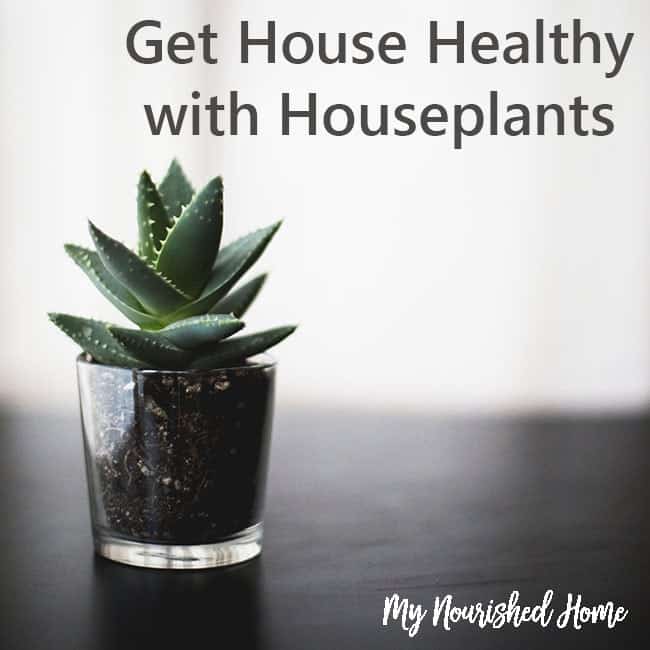 Get healthier with houseplants