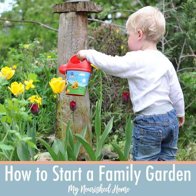 Begain a family garden with your kids