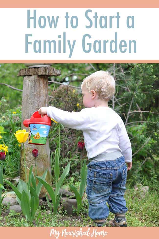 How to start a family garden