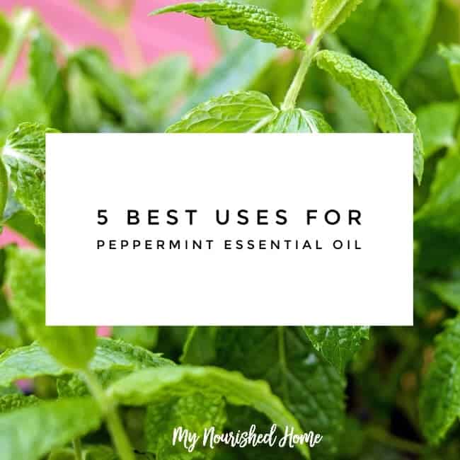 5 Best Uses for Peppermint Essential Oil