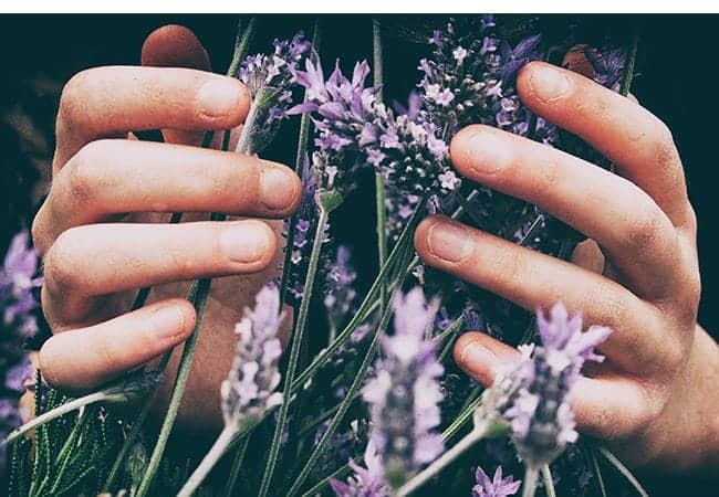 Essential Oils for Arthritis