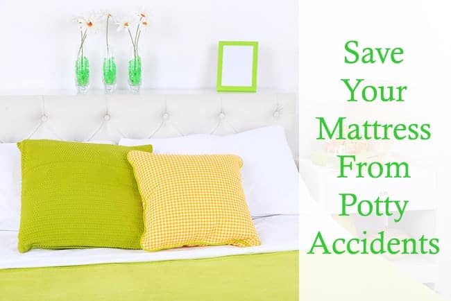 Clean your mattress after potty accidents