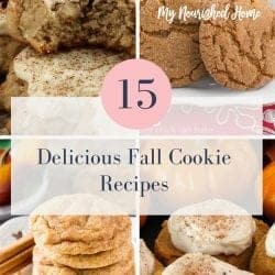 15 Fall Cookie Recipes Here are delicious Fall Cookie recipes to get you from Halloween to Thanksgiving.