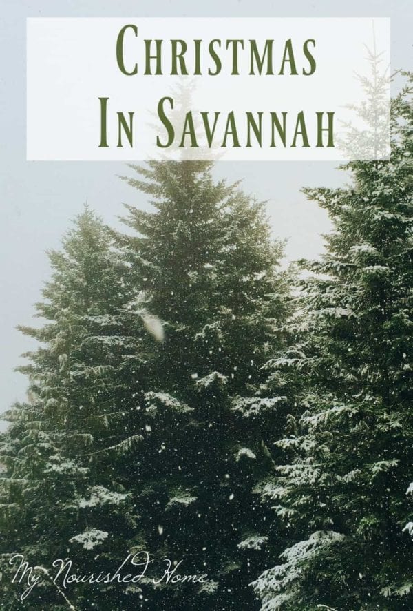 Christmas in Savannah: A Must for Families | My Nourished Home