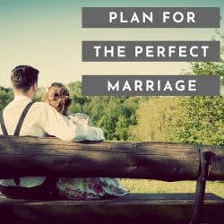 Plan for the Perfect Marriage