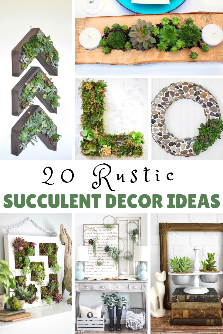 Rustic succulent decor ideas to add life and color to your home