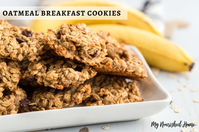 Healthy Oatmeal Cookies on the go