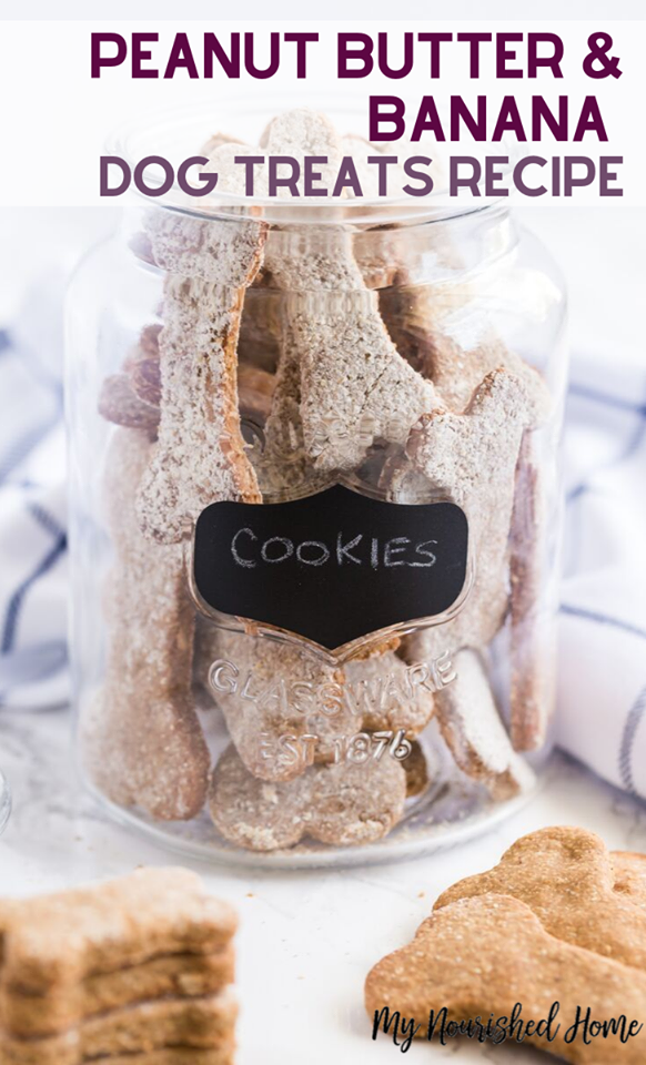 Banana and Peanut Butter Dog Treats My Nourished Home