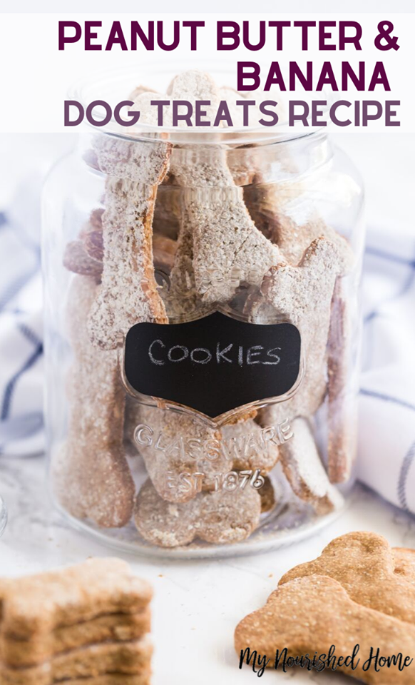 Homemade Dog Treat Recipe