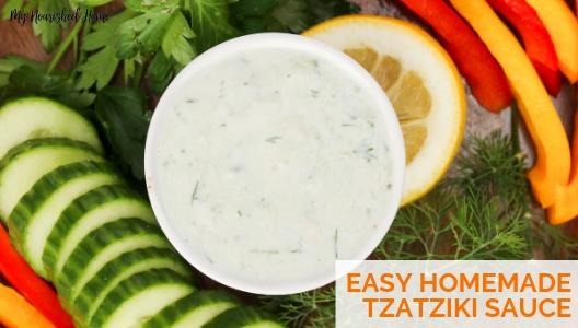 Quick and Easy Homemade Tzatziki Sauce Recipe