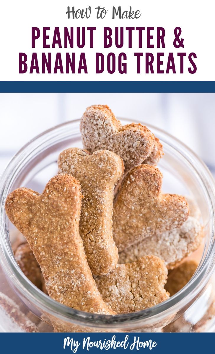 How to Make Peanut Butter and Banana Dog Treats - Easy Recipe - MyNourishedHome.com