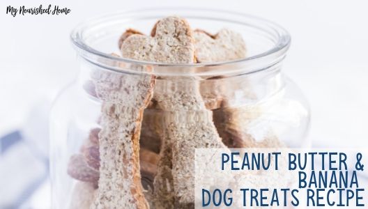 Yummy Peanut Butter and Banana Dog Treats Recipe - MYNOURISHEDHOME.COM