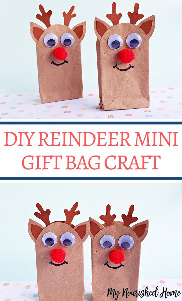 Cute DIY Reindeer gift bag