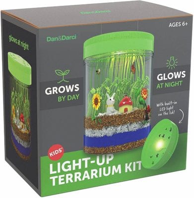 Light Up Terrarium Kit - plant science for kids