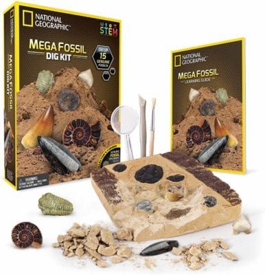 Nat Geo Mega Fossil Dig Kit - archeology for kids