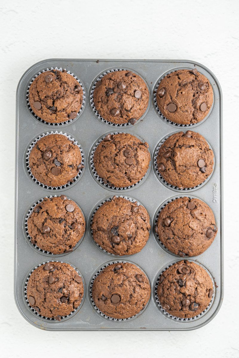 Batch of Chocolate Muffins 