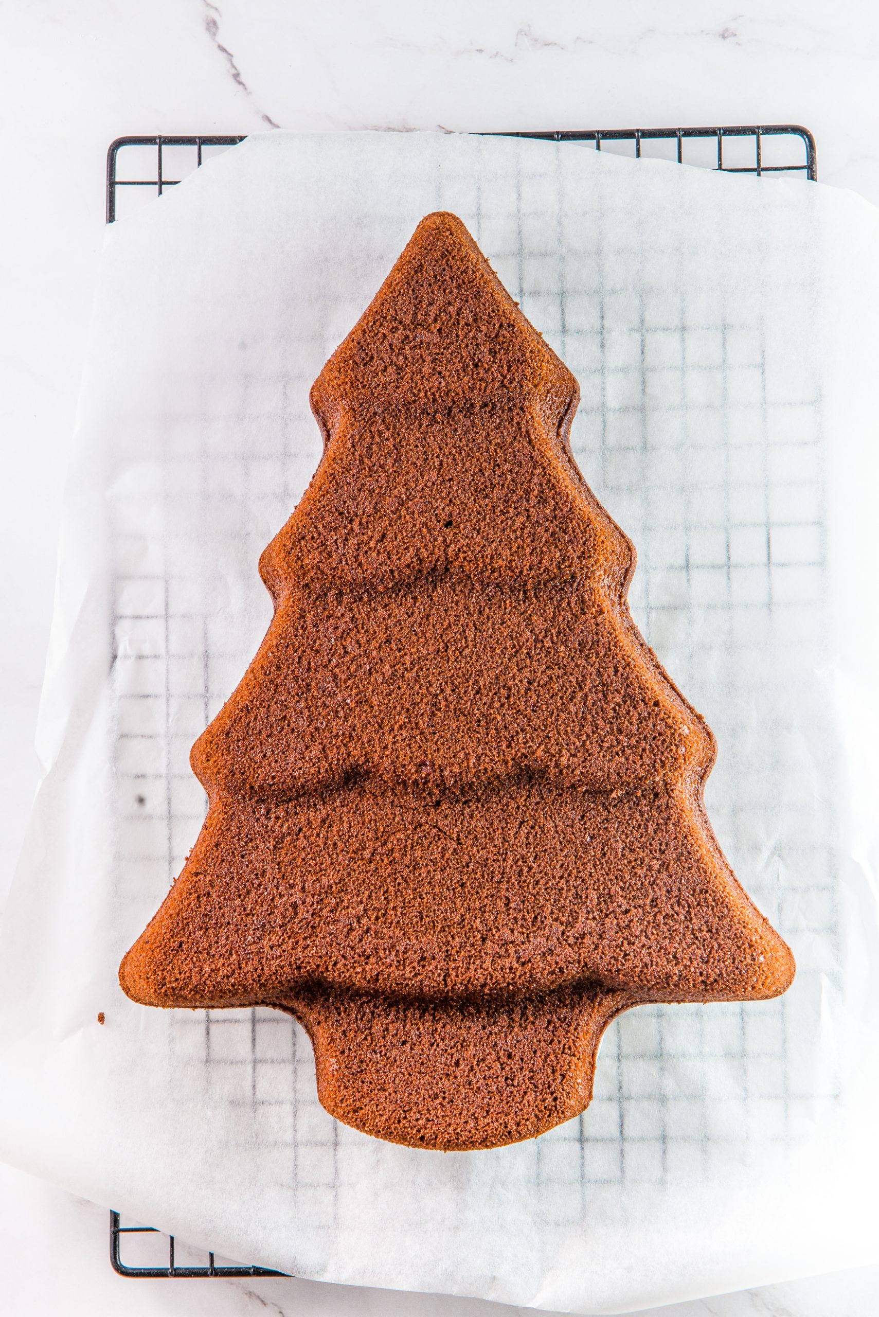 https://www.mynourishedhome.com/wp-content/uploads/2023/06/how_to_make_christmas_tree_cake-scaled.jpg