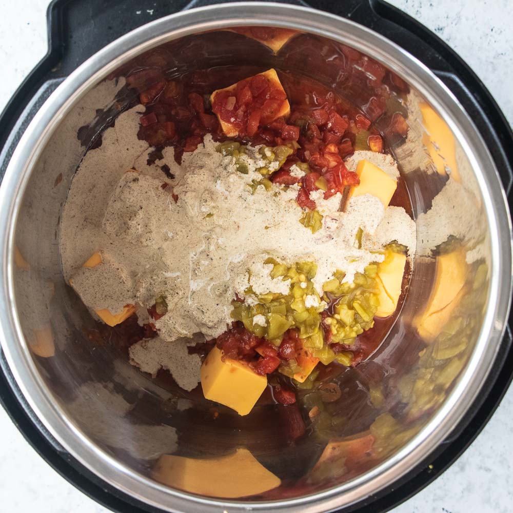 Ingredients for queso in an Instant Pot