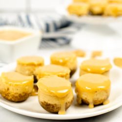 mini cheesecake bites