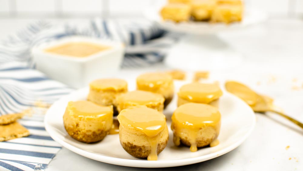 mini cheesecake bites