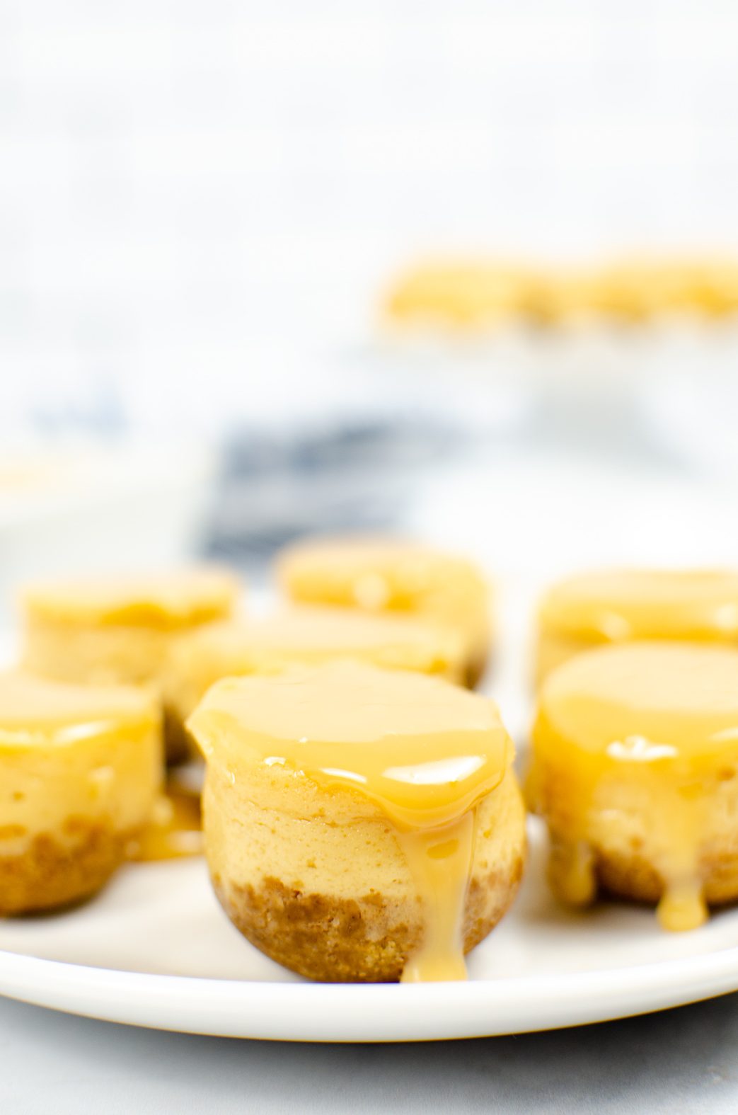 Mini Cheesecake Bites